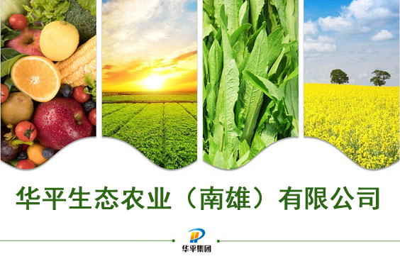 星空体育生态农业（南雄）有限公司2.jpg